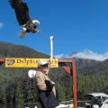 The world's friendliest eagles